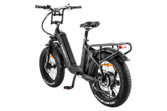 FAFREES F20 Master E-bike - Pogo Cycles