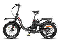 Fafrees F20 X-Max Electric Cargo Bike