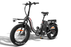 Fafrees F20 X-Max Electric Cargo Bike