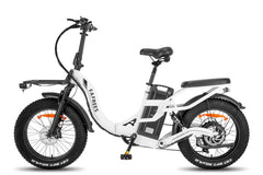 Fafrees F20 X-Max Electric Cargo Bike
