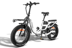 Fafrees F20 X-Max Electric Cargo Bike