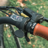 Fiido C11 Pro City E-bike Preorder
