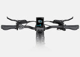 Engwe L20 3.0 Pro Electric Bike Preorder