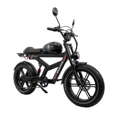DUOTTS F20 upgraded Electric Cargo Bike - PREORDER - ETA OCTOBER END.