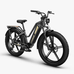 Fiido Titan Robust Cargo Electric Bike - Preorder - Expected in October.