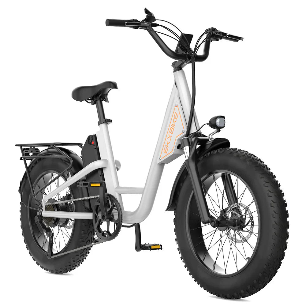 EKX L1 Electric Cargo Bike - PREORDER - EXPECTED IN SEPTEMBER.