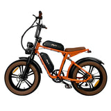 PVY X20 Electric Bike Preorder