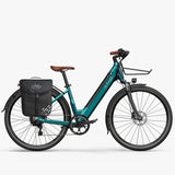 Fiido C11 Pro City E-bike Preorder