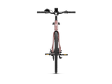 Heybike EC 1-ST Pedelec Electric Bike