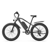 GOGOBEST GF600 Plus Electric Bike