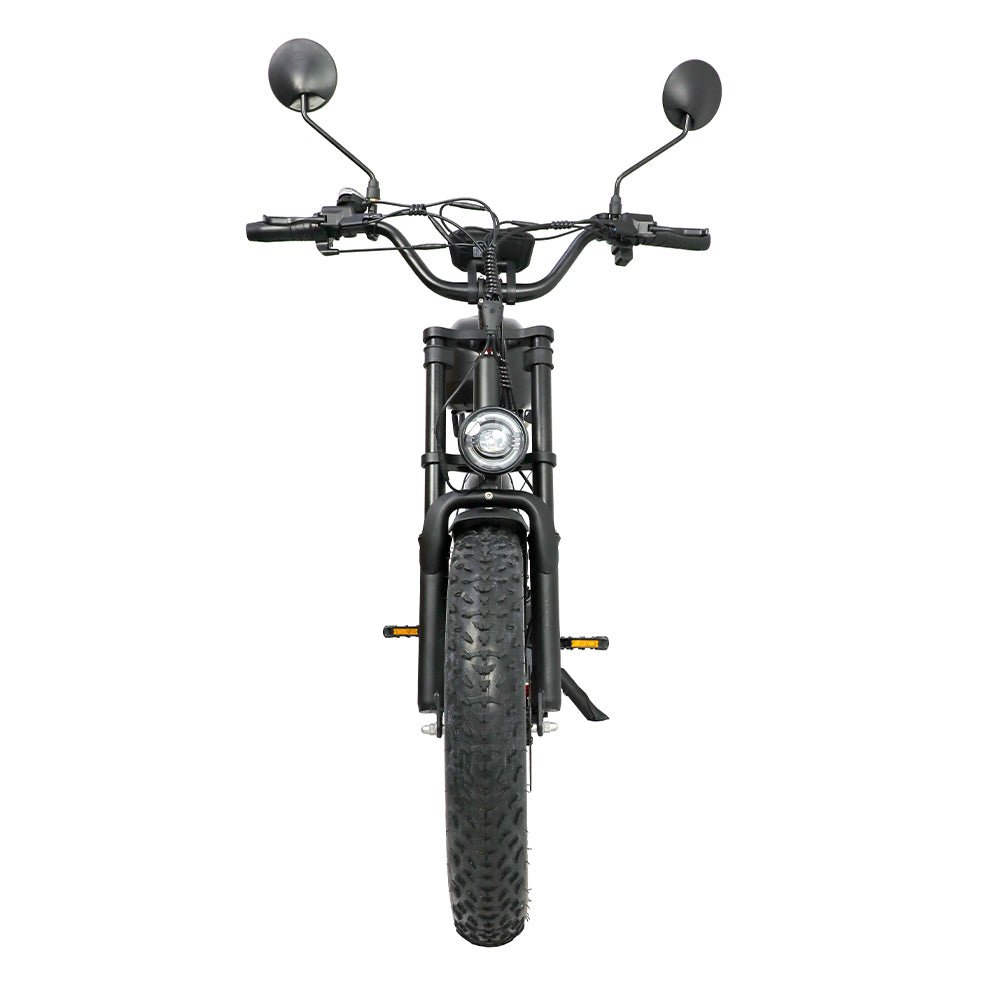 DUOTTS F20 upgraded Electric Cargo Bike - PREORDER - ETA OCTOBER END.