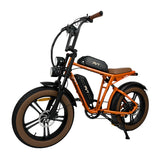 PVY X20 Electric Bike Preorder