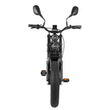 RANDRIDE DM711 Dual Motor Electric Bike