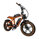 PVY X20 Electric Bike Preorder