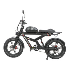 DUOTTS F20 upgraded Electric Cargo Bike - PREORDER - ETA OCTOBER END.