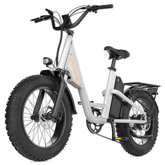 EKX L1 Electric Cargo Bike - PREORDER - EXPECTED IN SEPTEMBER.