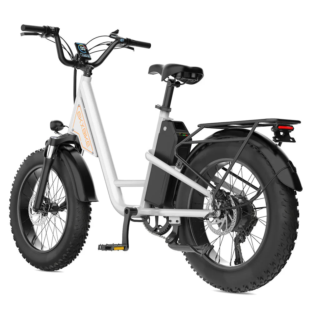 EKX L1 Electric Cargo Bike - PREORDER - EXPECTED IN SEPTEMBER.