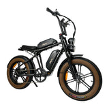 PVY X20 Electric Bike Preorder