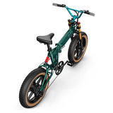 FIIDO M1 Pro 2025 upgraded Electric Bike Preorder