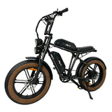 PVY X20 Electric Bike Preorder