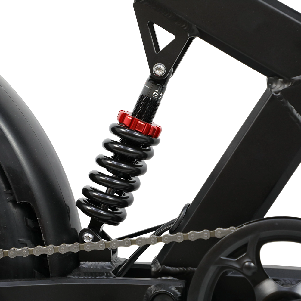 DUOTTS F20 upgraded Electric Cargo Bike - PREORDER - ETA OCTOBER END.