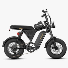 Bodywel M16 Pro Electric Bike
