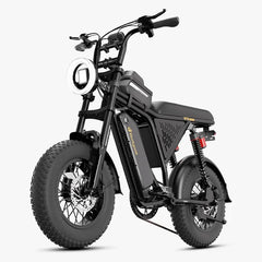 Bodywel M16 Pro Electric Bike