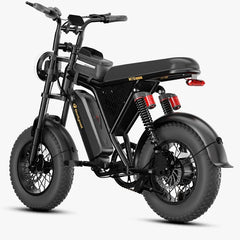 Bodywel M16 Pro Electric Bike