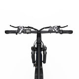DUOTTS C29 Pro Electric Mountain Bike