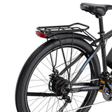 DUOTTS C29 Pro Electric Mountain Bike