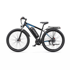 DUOTTS C29 Electric Bike