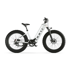 The Cyrusher Aura Step-Through Electric Bike