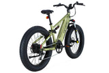 Cyrusher Rover All-Terrain  Electric Bike preorder