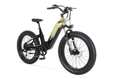 Cyrusher Roam Step-Thru Cargo Electric Bike