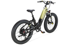 Cyrusher Roam Step-Thru Cargo Electric Bike