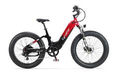 Cyrusher Roam Step-Thru Cargo Electric Bike