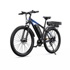 DUOTTS C29-K Electric Cargo Bike