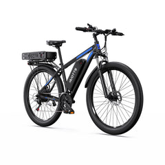 DUOTTS C29-K Electric Cargo Bike