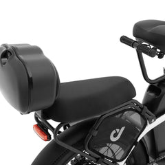 DYU C9 Child Seat Set