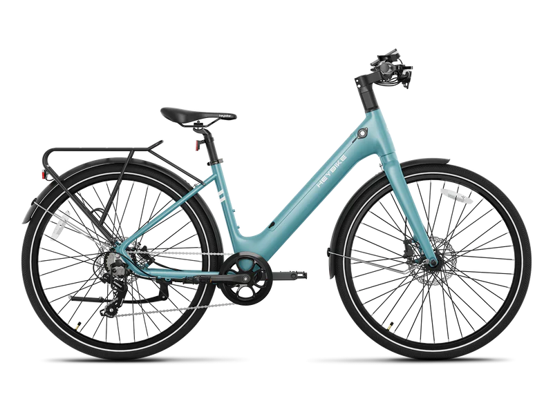 Heybike EC 1-ST Pedelec Electric Cargo Bike