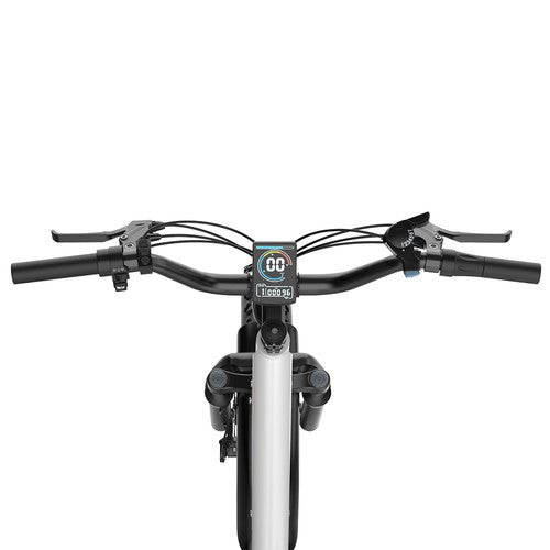 EKX L1 Electric Cargo Bike - PREORDER - EXPECTED IN SEPTEMBER.
