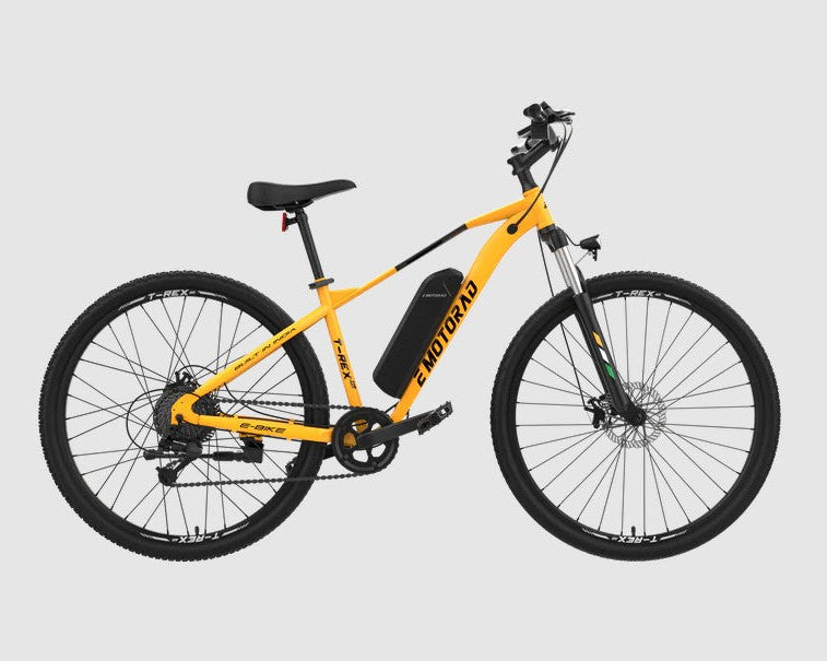 EMotorad T-Rex Air EBike