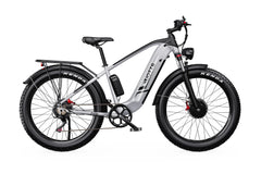 DUOTTS F26 Pro Electric Cargo Bike - PREORDER - ETA OCTOBER END