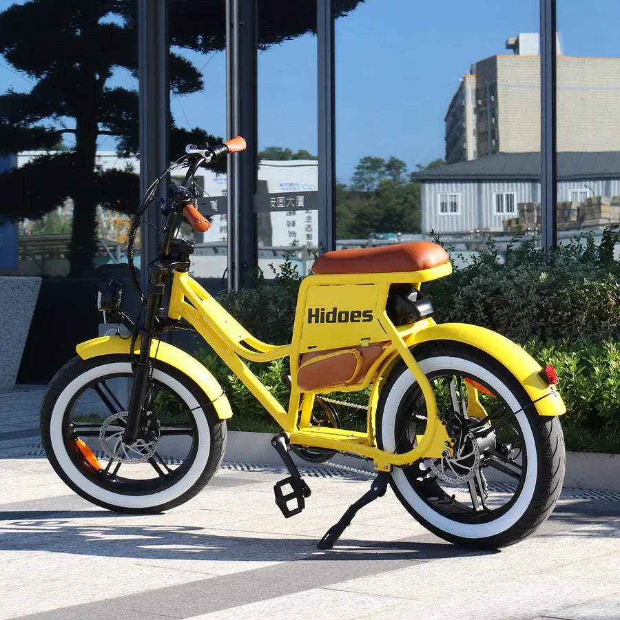Hidoes C8 Fat Tire Electric Bike