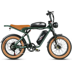 Samebike M20-III Electric Cargo Bike