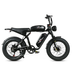 Samebike M20-III Electric Cargo Bike
