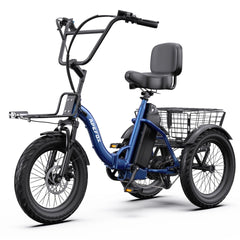 APEFOX RH30 Cargo Tricycle Bike