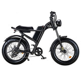 Riding Times  Z8 Electric Bike