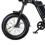 Riding Times  Z8 Electric Bike