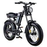 Riding Times  Z8 Electric Bike